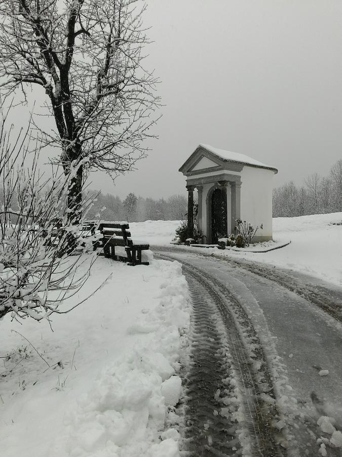 R&B La Gerla Blu Bed & Breakfast Tolmezzo Eksteriør bilde